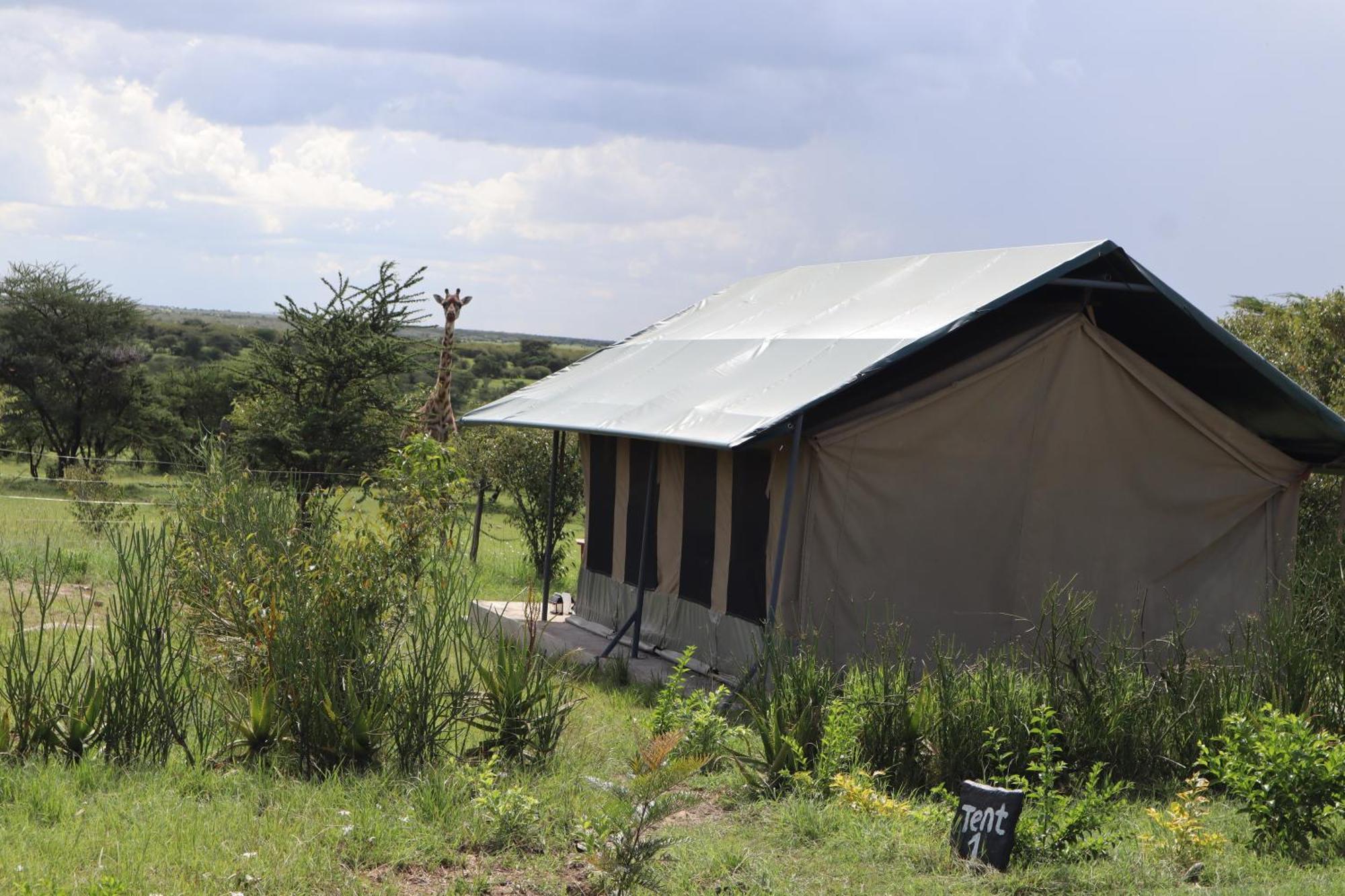 Kambu Mara Camp Hotel Sekenani Bagian luar foto